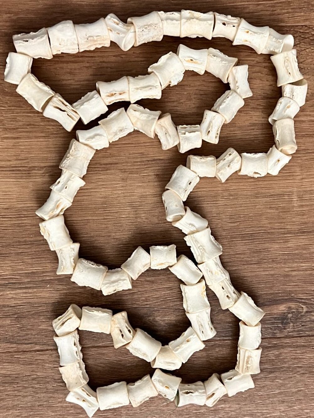 African Fish Bone Vertebrae Beads